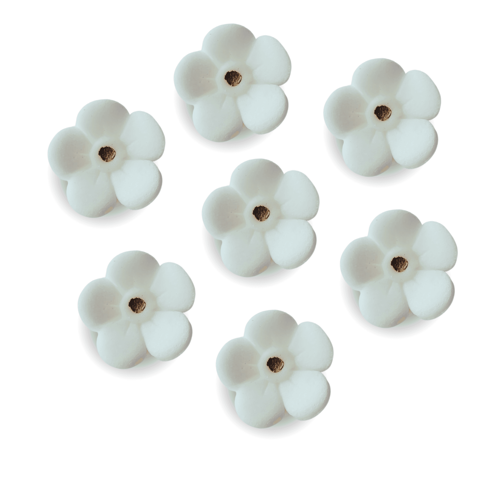 f986707ac5da5056941ebdf0c1793738.png Kwiat niezapominajka cukrowa biała śr. 2,5 cm opak.7 szt. - obrazek 1