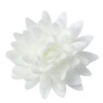Aster biały 18 szt, śr 5,5cm, kwiaty waflowe Rose Decor