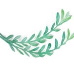 Dekoracja waflowa gałązka oliwna na tort Rose Decor