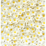 Kwiaty cukrowe na tort Prymulki fi 2cm 10 szt Rose Decor