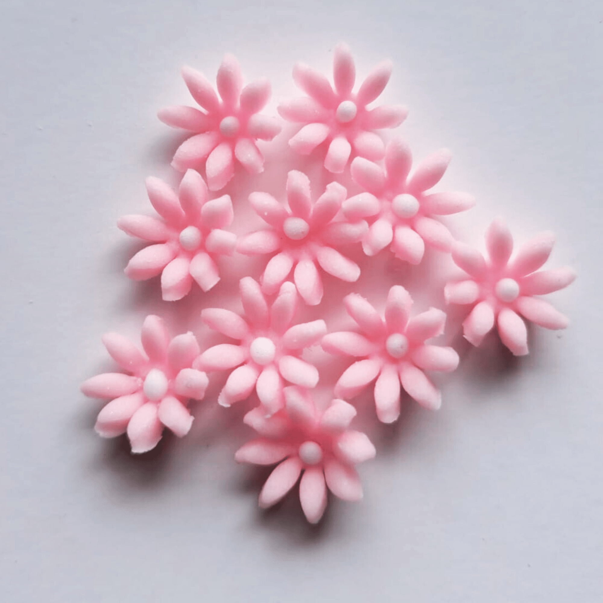 eab4c6ee62e48d97e63b61b1684bc746.png Kwiaty Stokrotka mini cukrowa różowa śr.1 cm opak.10 szt. - obrazek 1