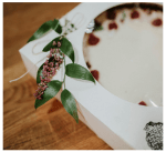 889001542db4cb51dca73d52661856d2